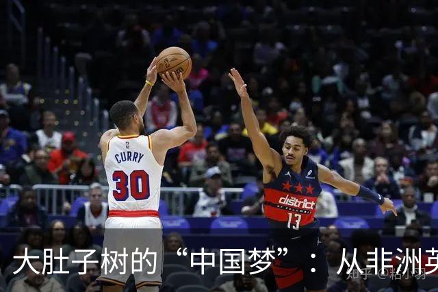 大肚子树的“中国梦”：从非洲英雄到豆芽菜的传奇